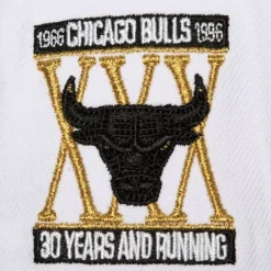 Mitchell & Ness Snapback-Mvp Snapback Chicago Bulls