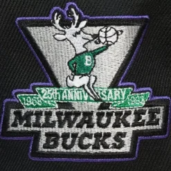 Mitchell & Ness Snapback-My Squad Snapback Hwc Milwaukee Bucks