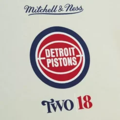 Men Mitchell & Ness Hoodies & Sweatshirts-My Towns Two|18 Graphic Hoody Detroit Pistons