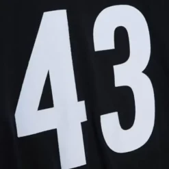 Men Mitchell & Ness T-Shirts & Tops-N&N Longsleeve Tee Pittsburgh Steelers 2005 Troy Polamalu