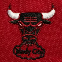 Mitchell & Ness Snapback-Now You See Me Snapback Hwc Chicago Bulls