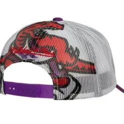 Mitchell & Ness Snapback-Off The Backboard Trucker Snapback Hwc Toronto Raptors