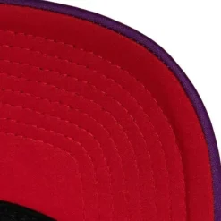 Mitchell & Ness Snapback-Off The Backboard Trucker Snapback Hwc Toronto Raptors