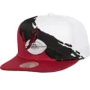 Mitchell & Ness Snapback-Paintbrush Snapback Arizona Cardinals