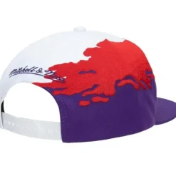 Mitchell & Ness Snapback-Paintbrush Snapback Hwc Toronto Raptors
