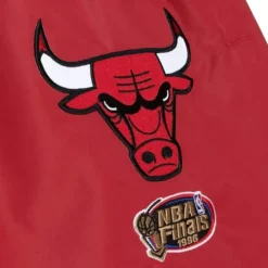 Men Mitchell & Ness Pants-Paintbrush Warmup Pant Chicago Bulls