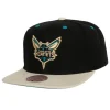 Mitchell & Ness Snapback-Pin Drop Snapback Charlotte Hornets