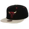 Mitchell & Ness Snapback-Pin Drop Snapback Chicago Bulls