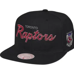 Mitchell & Ness Snapback-Pink Under Script Snapback Hwc Toronto Raptors