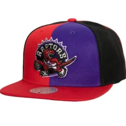 Mitchell & Ness Snapback-Pinwheel Snapback Hwc Toronto Raptors