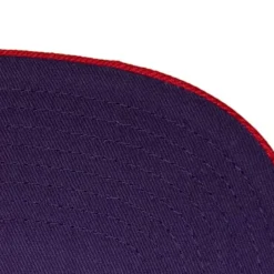 Mitchell & Ness Snapback-Pinwheel Snapback Hwc Toronto Raptors