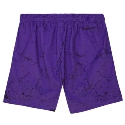 Men Mitchell & Ness Shorts-Player Burst Mesh Shorts Toronto Raptors Vince Carter