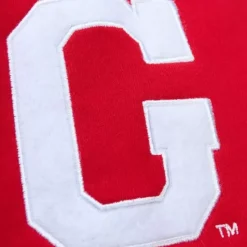 Men Mitchell & Ness Hoodies & Sweatshirts-Pre-Game Ss Fleece Hoodie University Of Georgia