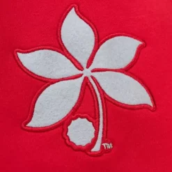 Men Mitchell & Ness Hoodies & Sweatshirts-Pre-Game Ss Fleece Hoodie Ohio State