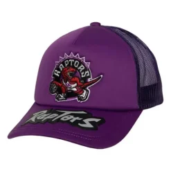 Mitchell & Ness Snapback-Puff The Magic Trucker Snapback Hwc Toronto Raptors