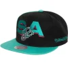 Mitchell & Ness Snapback-Rear Script Deadstock Snapback Hwc San Antonio Spurs