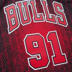 Mitchell & Ness Nba Swingman-Re-Take Swingman Dennis Rodman Chicago Bulls 1995-96 Jersey