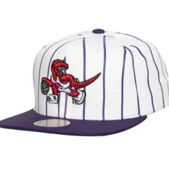 Mitchell & Ness Snapback-Retro Pinstripe Snapback Hwc Toronto Raptors