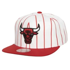 Mitchell & Ness Snapback-Retro Pinstripe Snapback Chicago Bulls