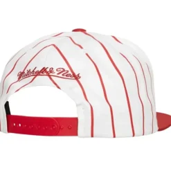 Mitchell & Ness Snapback-Retro Pinstripe Snapback Chicago Bulls