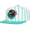 Mitchell & Ness Snapback-Retro Pinstripe Snapback Hwc Vancouver Grizzlies