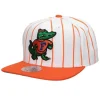 Mitchell & Ness Snapback-Retro Pinstripe Snapback University Of Florida