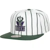 Mitchell & Ness Snapback-Retro Pinstripe Snapback Hwc Milwaukee Bucks