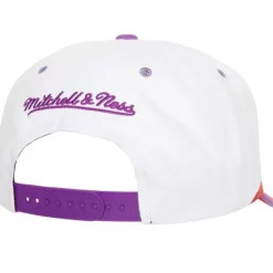 Mitchell & Ness Snapback-Retrodome Pro Snapback Hwc Toronto Raptors