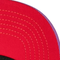 Mitchell & Ness Snapback-Retrodome Pro Snapback Hwc Toronto Raptors