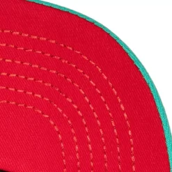 Mitchell & Ness Snapback-Retrodome Pro Snapback Hwc Vancouver Grizzlies