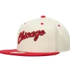 Mitchell & Ness Snapback-Sail 2 Tone Snapback Hwc Chicago Bulls