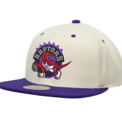 Mitchell & Ness Snapback-Sail 2 Tone Snapback Hwc Toronto Raptors