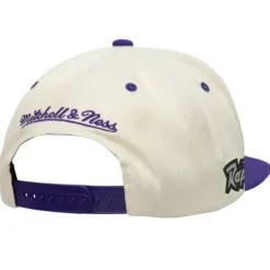 Mitchell & Ness Snapback-Sail 2 Tone Snapback Hwc Toronto Raptors