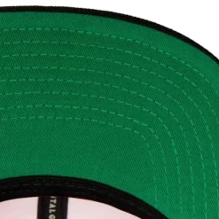 Mitchell & Ness Snapback-Side Core 2.0 Snapback Hwc Toronto Raptors