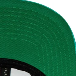 Mitchell & Ness Snapback-Side Core 2.0 Snapback Hwc Vancouver Grizzlies
