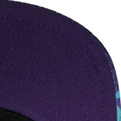 Mitchell & Ness Snapback-Snapshot Snapback Charlotte Hornets