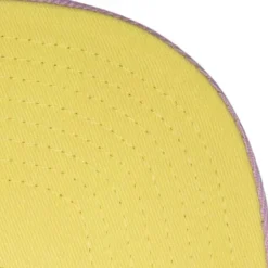 Mitchell & Ness Snapback-So Fresh Snapback Hwc Charlotte Hornets