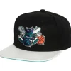 Mitchell & Ness Snapback-Ssbsts Snapback Hwc Charlotte Hornets
