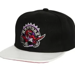 Mitchell & Ness Snapback-Ssbsts Snapback Hwc Toronto Raptors