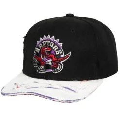 Mitchell & Ness Snapback-Ssbsts Snapback Hwc Toronto Raptors