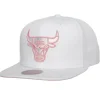 Mitchell & Ness Snapback-Summer Suede Snapback Chicago Bulls