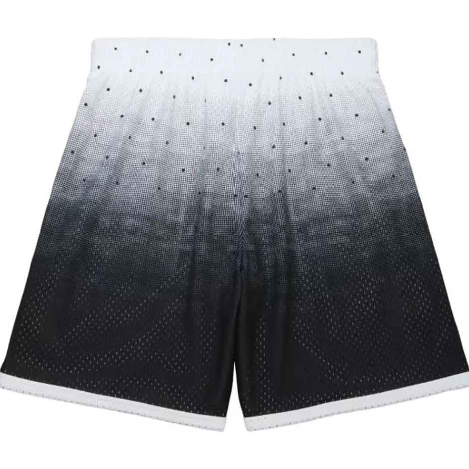 Men Mitchell & Ness Shorts-Swingman All-Star Usa 2016 Shorts