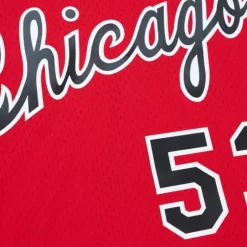 Mitchell & Ness Nba Swingman-Swingman Artis Gilmore Chicago Bulls 1977-78 Jersey