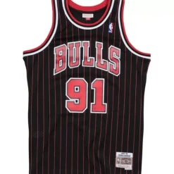 Mitchell & Ness Nba Swingman-Swingman Jersey Chicago Bulls Alternate 1995-96 Dennis Rodman