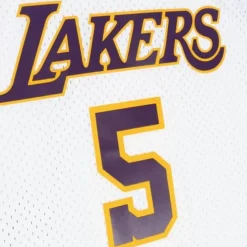 Mitchell & Ness Nba Swingman-Swingman Robert Horry Los Angeles Lakers Alternate 2002-03 Jersey