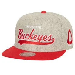 Mitchell & Ness Snapback-Tailsweep 2.0 Melton Snapback V Ohio State