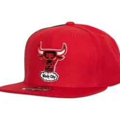Mitchell & Ness Fitted-Tapestry Fitted Hwc Chicago Bulls
