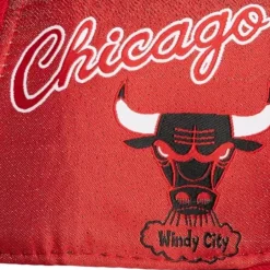 Mitchell & Ness Fitted-Tapestry Fitted Hwc Chicago Bulls