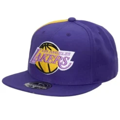 Mitchell & Ness Fitted-Tapestry Fitted Hwc Los Angeles Lakers