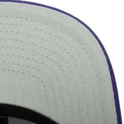 Mitchell & Ness Snapback-Tapestry Snapback Minnesota Vikings